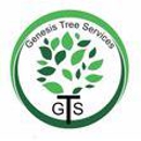 Genesis Tree Services Inc. - Tree Service