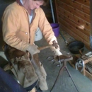 All Hoof Farrier Services - Horse Breeders