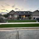 Purchase Green Artificial Grass - Artificial Grass