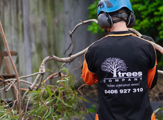Trees Company - Marrickville, NSW