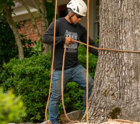 Todd's Roswell Tree Removal Service - Roswell, GA