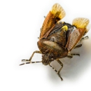 Aiken Complete Pest Control - Pest Control Equipment & Supplies