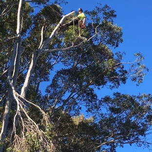 Horizon Total Tree Service - Tomakin, NSW