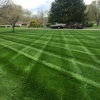 A+ Lawn Care & Pool Installation gallery