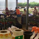 Houston Garden Centers - Garden Centers