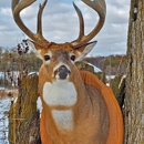 Sugar River Taxidermy - Taxidermists