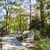 Plantation Village gallery