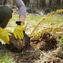 Mile High Tree Care Inc - Tree Service