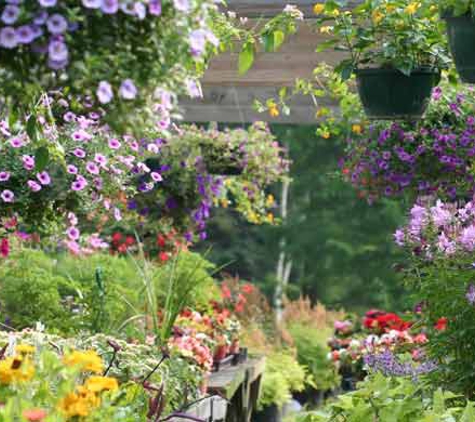 Wholesale Plants & Products Pty Ltd - Dry Creek, SA