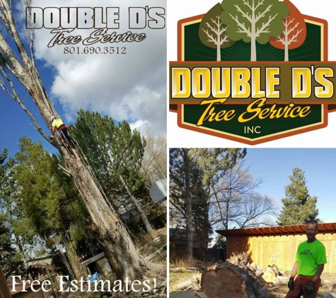 Double D's Tree Service - Ogden, UT