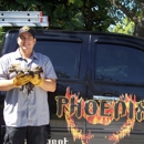 Phoenix Pest Management & Wildlife Control - Pest Control Services-Commercial & Industrial