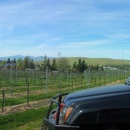 Eagle Ridge Vineyard - Tourist Information & Attractions