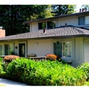 Shelton Roofing