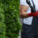 Garden Tree Services, Corp. - Tree Service
