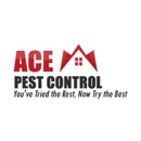 Ace Pest Control - Termite Control