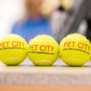 Pet City Pet Shop Chapel Hill Mall - Pet Stores