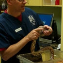 Avian And Exotic Animal Care - Veterinarian Emergency Services