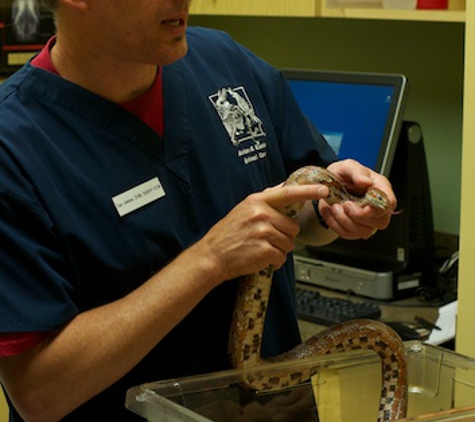 Avian And Exotic Animal Care - Raleigh, NC