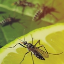 Fleetwood Pest Control - Pest Control Equipment & Supplies