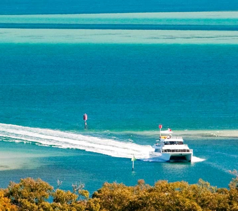 Stradbroke Flyer Gold Cats - Cleveland, QLD