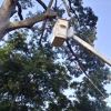 L-Bolt Professional Tree Service Co gallery