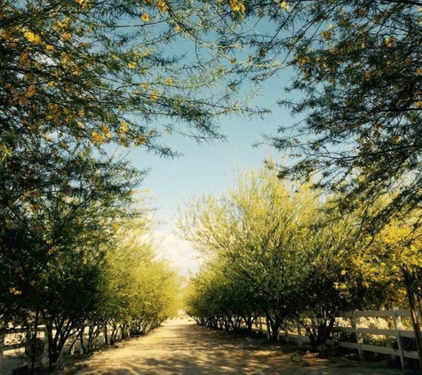 Palo Verde Ranch - Thousand Palms, CA