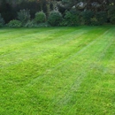 Fernandes Landscape - Landscape Contractors