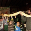 E and J Reptile & Animal Shows gallery
