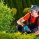 Kings Tree Service & Landscaping