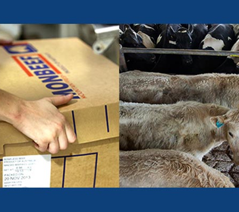 Monbeef Pty Ltd - Cooma, NSW
