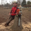 Go-Getter Tree Service - Arborists