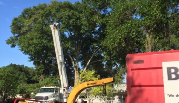 Big City Tree Service, Inc. - Jacksonville Beach, FL