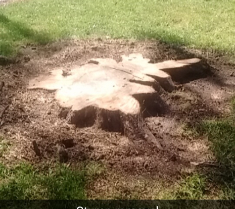 Stump Removal of Omaha - Omaha, NE