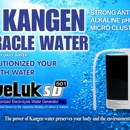Kangen Water - Health & Wellness Products
