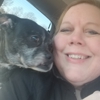 Tri-State Veterinary Clinic & Equine Center gallery