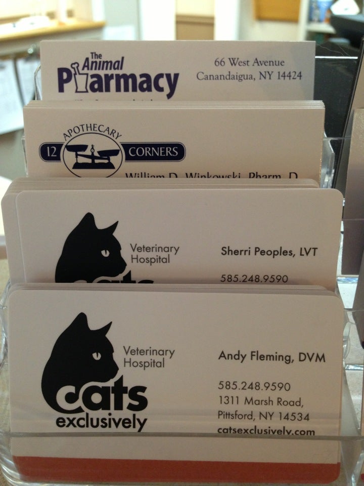 Cats Exclusively Veterinary Hos - Pittsford, NY 14534