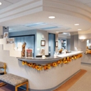 Daia Orthodontics & Tmj Orthopedics - Orthodontists