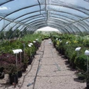 Homestake Nursery & Landscape Materials - Landscape Contractors