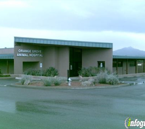 Orange Grove Animal Hospital - Tucson, AZ