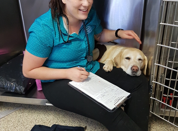 Para Hills Veterinary Clinic - Para Hills, SA