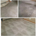 TRUE Dry Carpet Cleaning