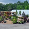 Town N Country Garden Center LLC gallery