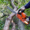 James River Tree Service gallery