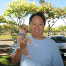 Dog Training Honolulu - Pet Training