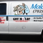 Mold Doctor