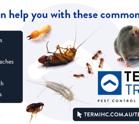 Termitrust Pest Control Brisbane - Zillmere, QLD. We Can Help You With These Common Pests