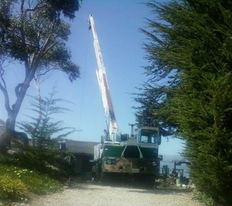 Golden State Tree Service
