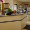 Adams Pet Hospital gallery