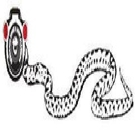 Anaconda Snake & Drain