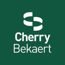 Cherry Bekaert - Management Consultants